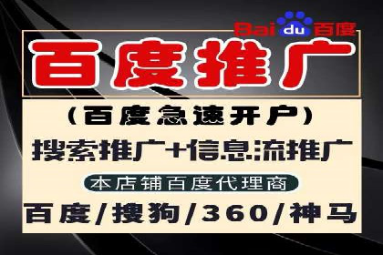 案例分析：成功SEM托管策略全解析